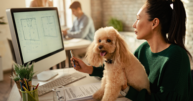 Empresas “pet friendly”: trabajadores retoman la presencialidad y llevan sus mascotas a las oficinas